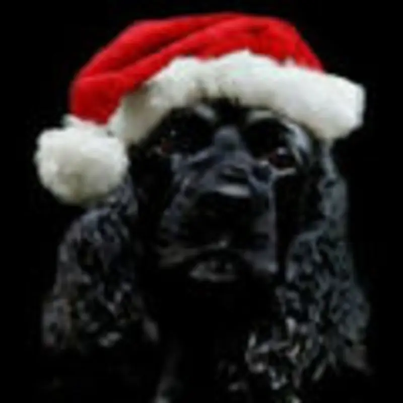 Andachtsbild von Sue & Bonnie