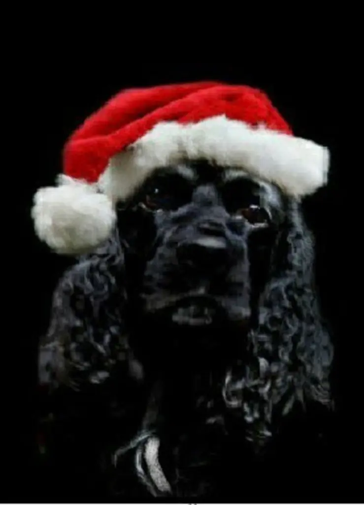 Andachtsbild von Sue und Bonnie