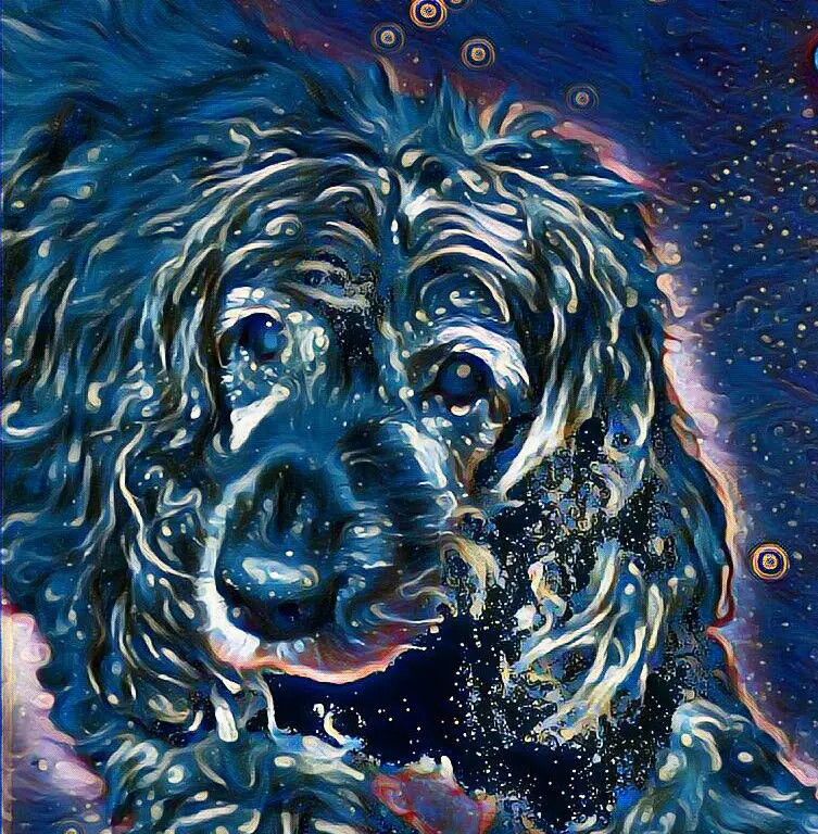 Andachtsbild von Unbekannt