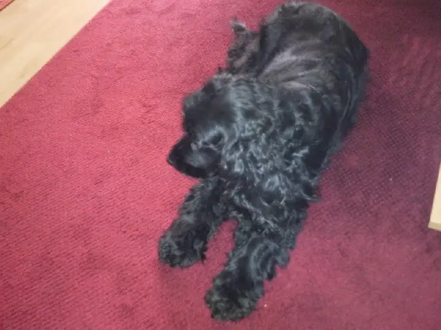 Andachtsbild von Unbekannt