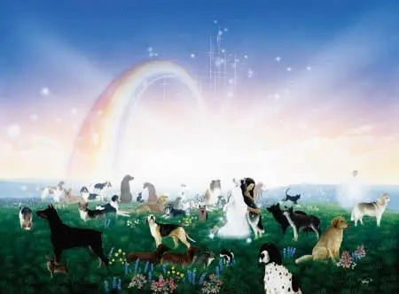 Andachtsbild von USCHI !!!