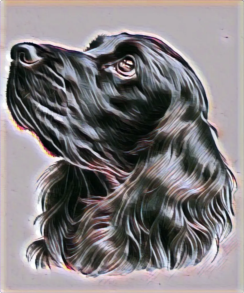 Andachtsbild von Unbekannt