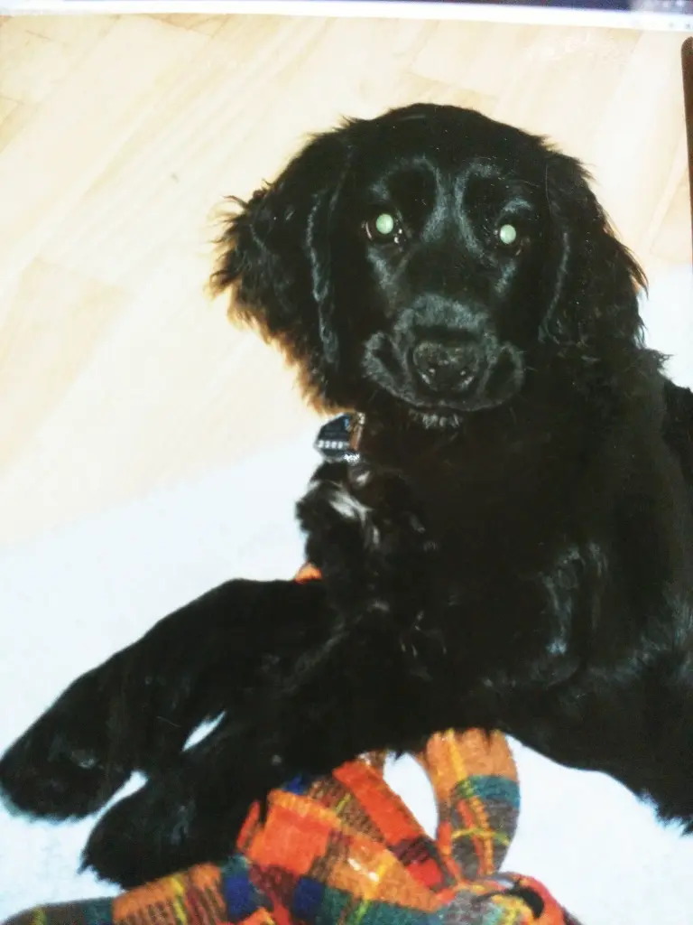 Andachtsbild von Unbekannt