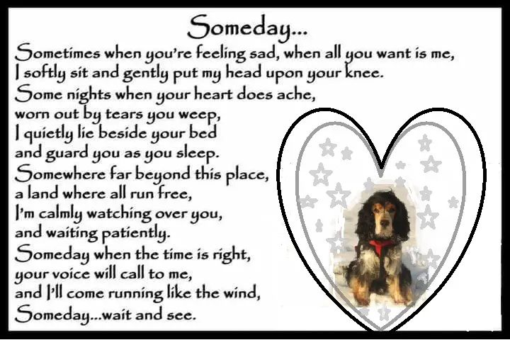 Andachtsbild von Bonnie & Frauchen