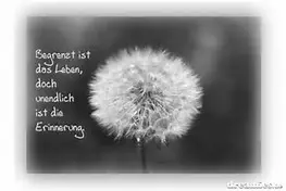 Andachtsbild von USCHI !!!