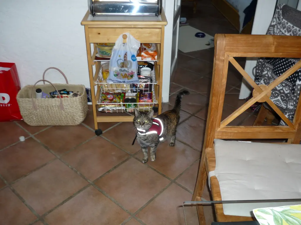 Andachtsbild von Ingrid