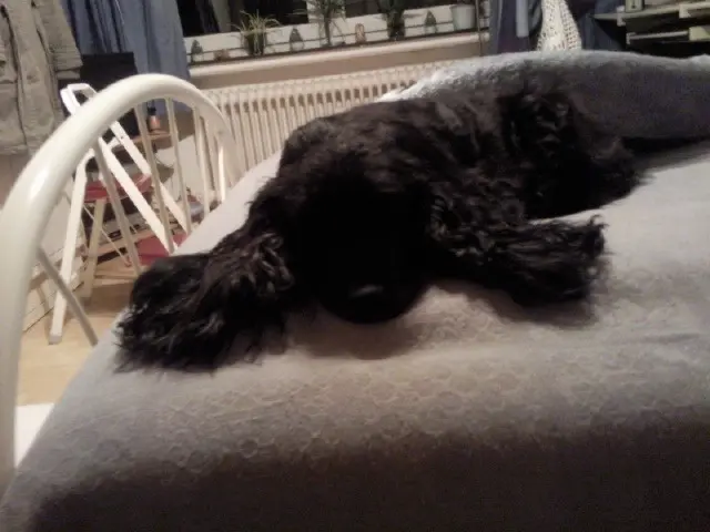 Andachtsbild von Unbekannt