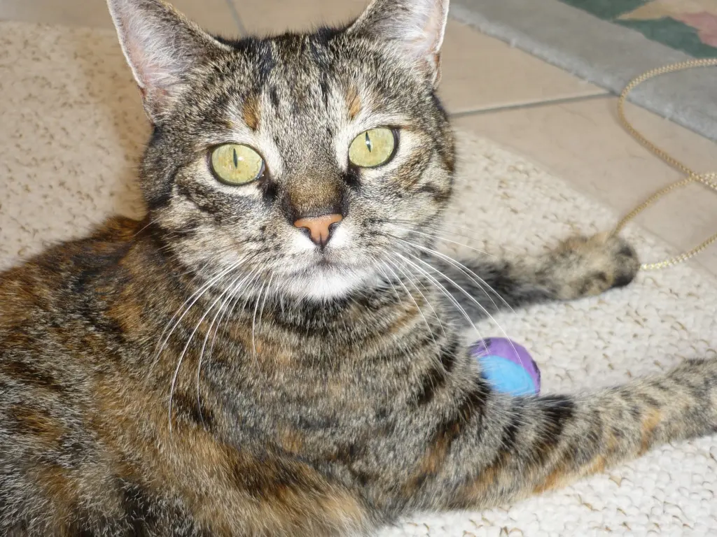 Andachtsbild von Ingrid