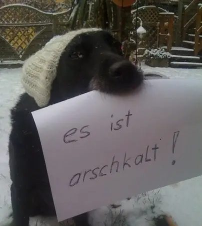 Andachtsbild von Sue und Bonnie