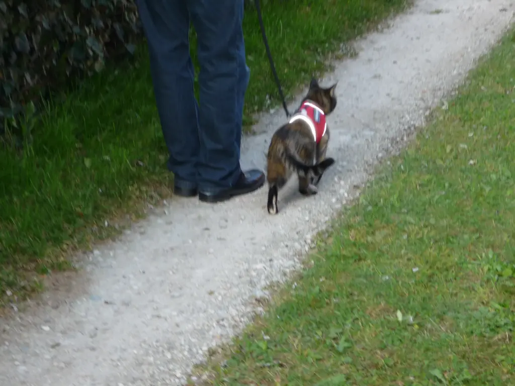 Andachtsbild von Ingrid