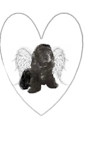 Andachtsbild von Unbekannt