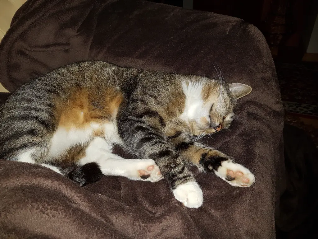 Andachtsbild von Amigo & Jessica