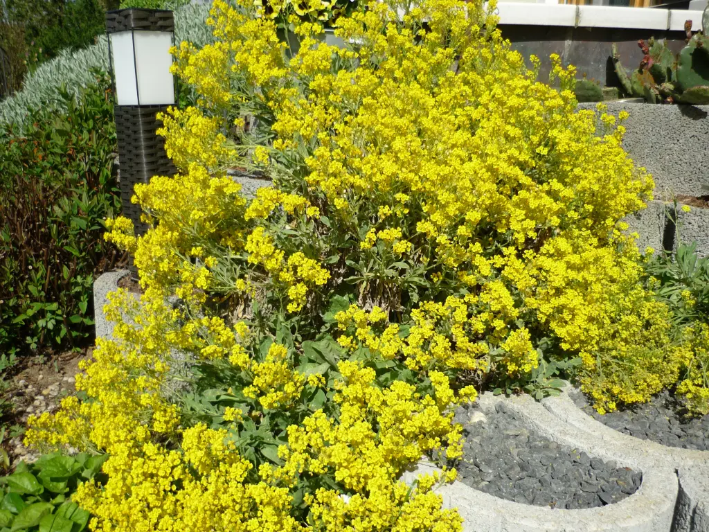 Andachtsbild von Ingrid