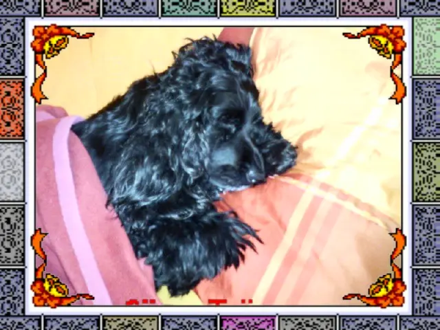 Andachtsbild von dein Frauchen - In Liebe  ♥