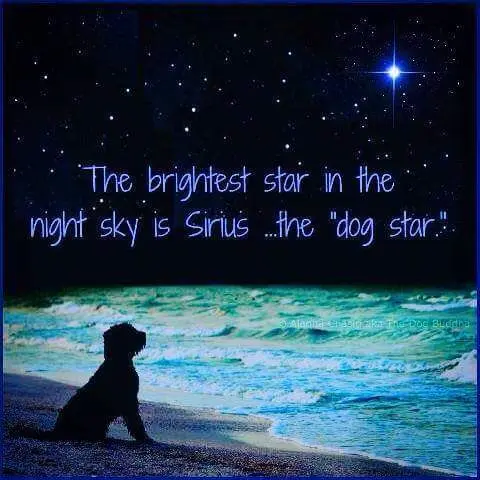 Andachtsbild von dein Frauchen - ich vermisse dich so sehr 