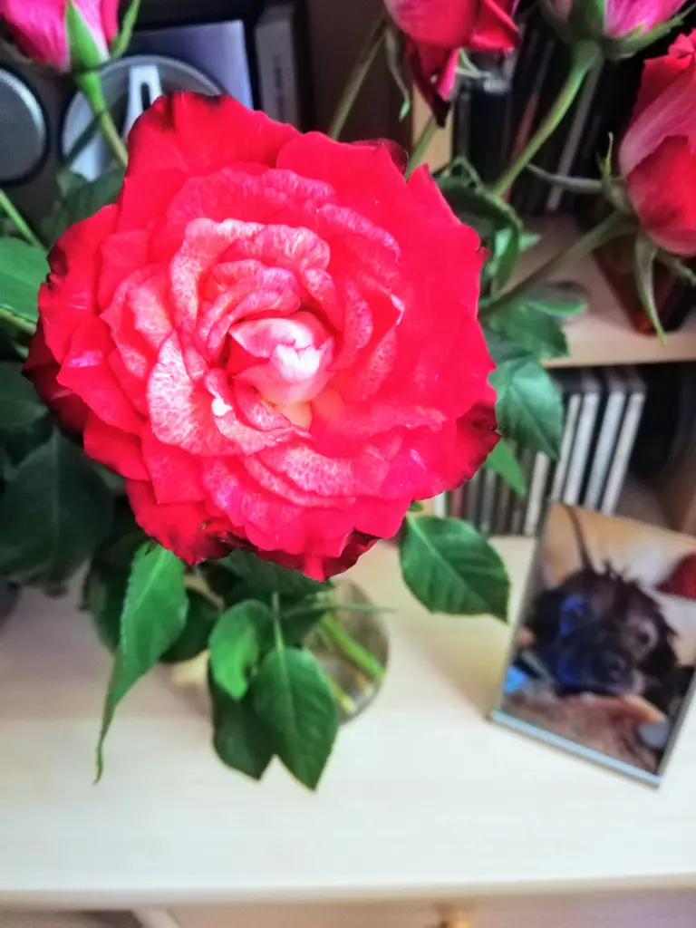 Andachtsbild von Unbekannt