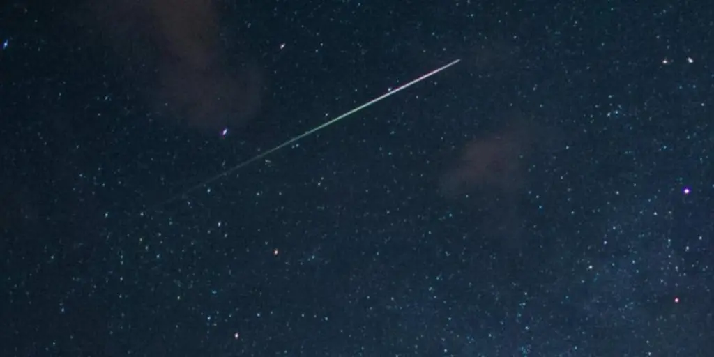 Andachtsbild von Frauchen an Bonnie