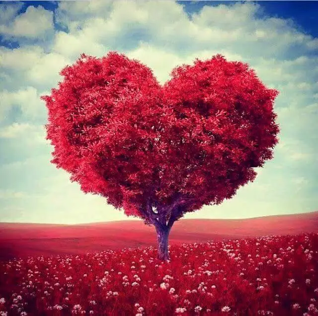 Andachtsbild von Frauchen an Bönchen