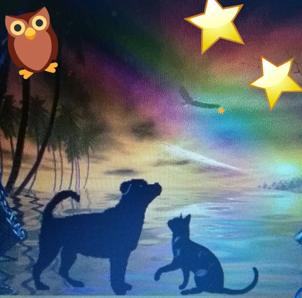 Andachtsbild von Unbekannt