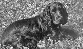 Andachtsbild von Haltet die Welt an - es fehlt ein Stück