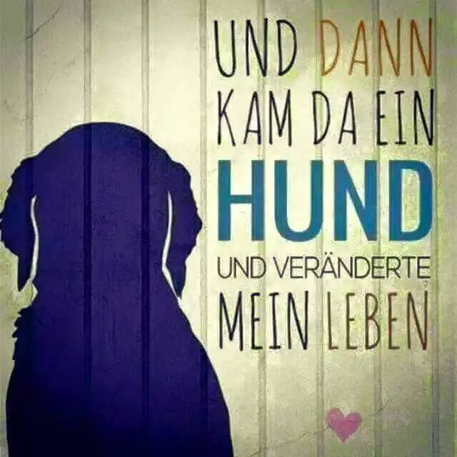 Andachtsbild von Unbekannt