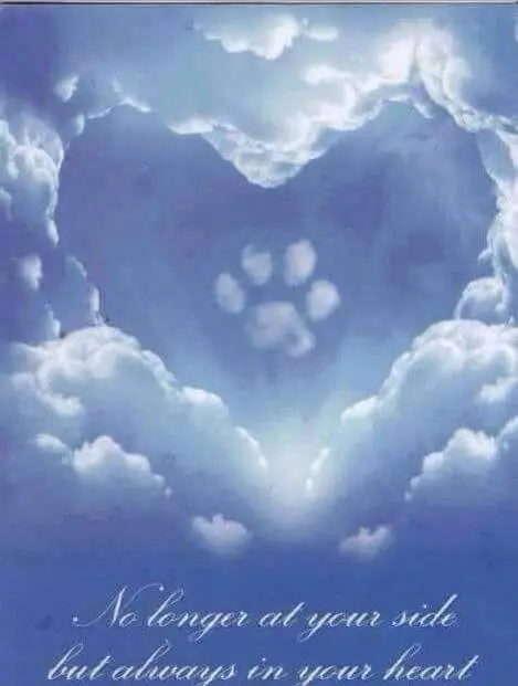 Andachtsbild von Ingrid mit Tammy