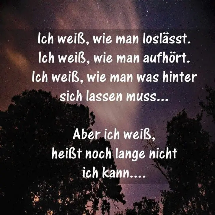 Andachtsbild von Frauchen - an meine süße Bönie ❤