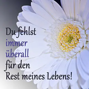 Andachtsbild von Jessica/ In liebevollem Gedenken an deine Bonnie