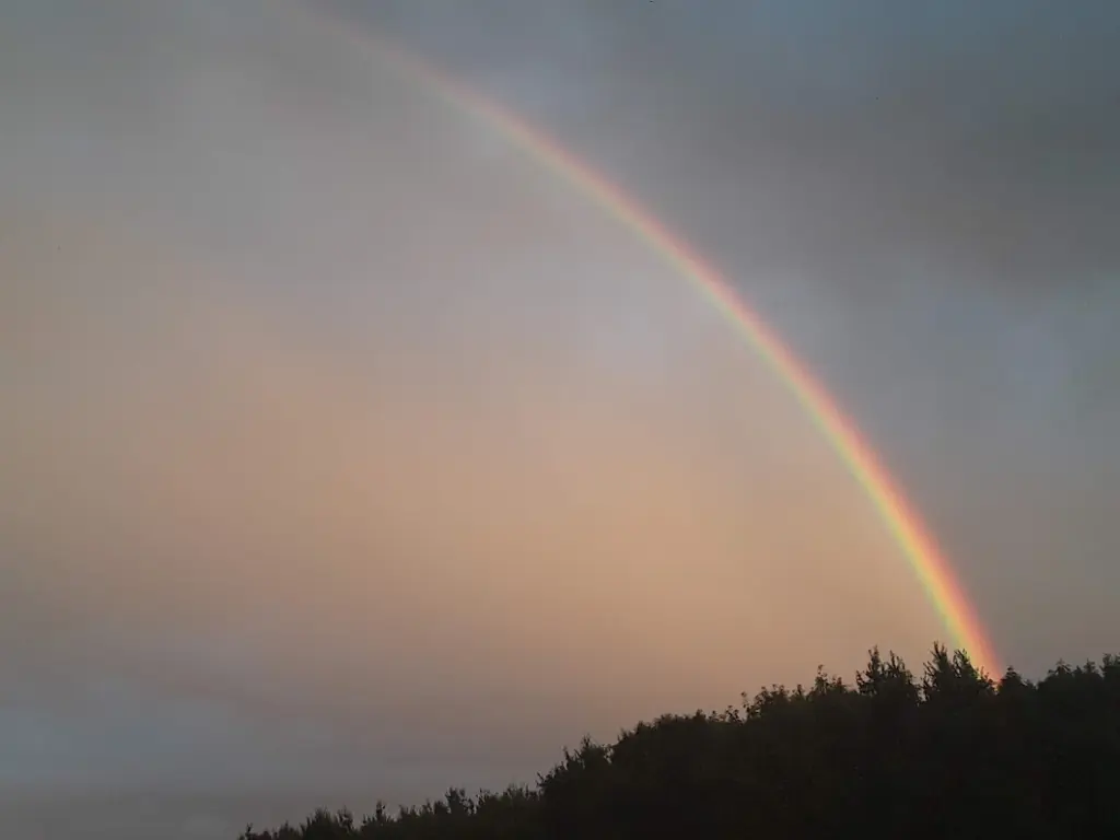 Andachtsbild von Jessica/ In liebevollem Gedenken an Bonnie