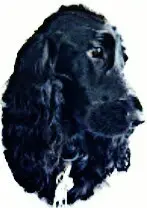 Andachtsbild von Frauchen an Bonnie