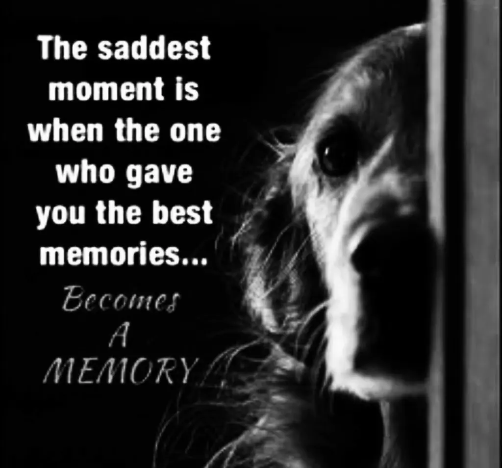 Andachtsbild von Frauchen 