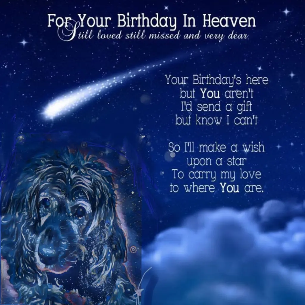 Andachtsbild von Frauchen an Bonnie ❤️