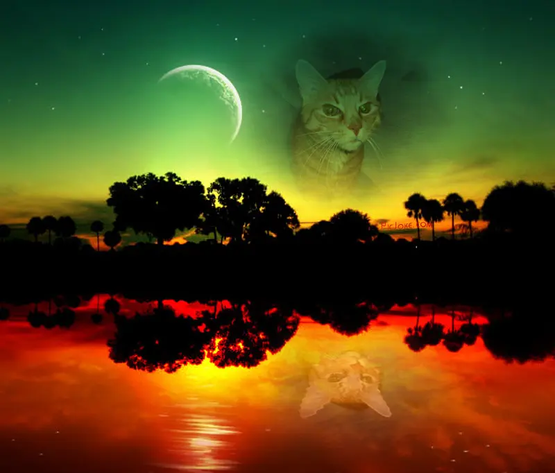 Andachtsbild von Christel