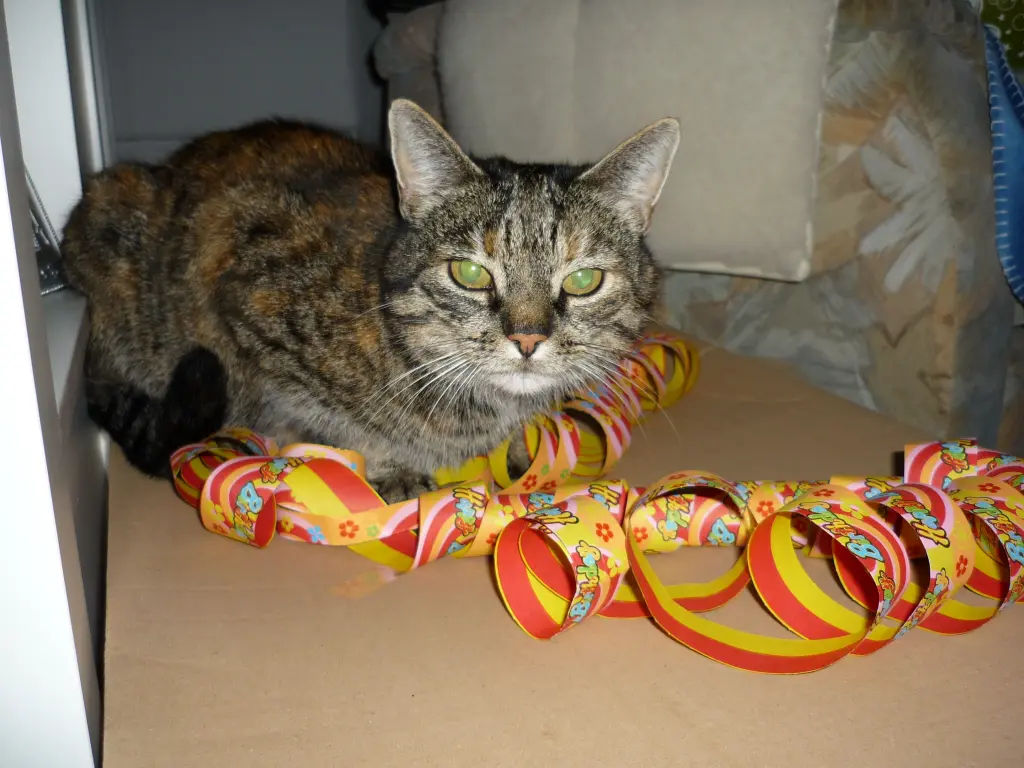 Andachtsbild von Ingrid und Tammy