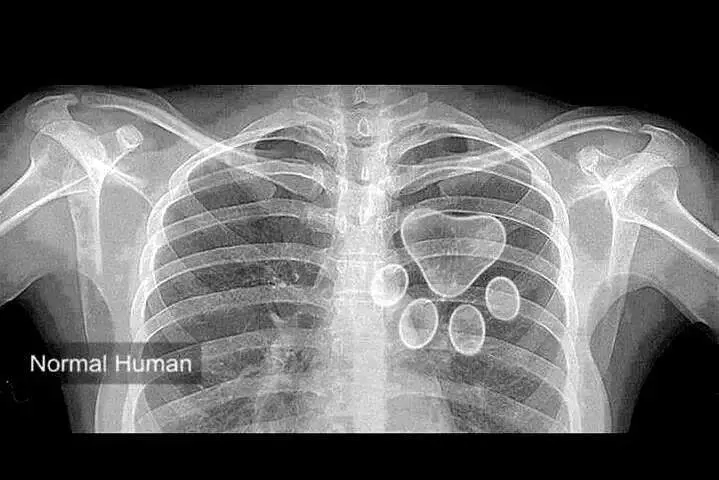 Andachtsbild von Frauchen an meine beste Freundin Bonnie 