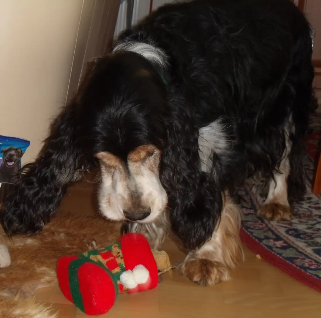 Andachtsbild von Amigo & Jessica