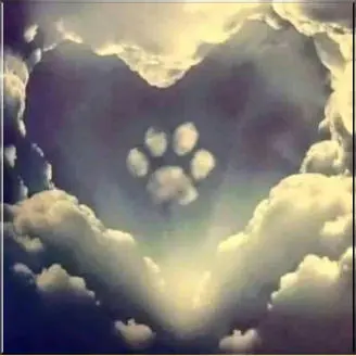 Andachtsbild von Jessica & Amigo ❤️ In liebevollem Gedenken an Bonnie❤️