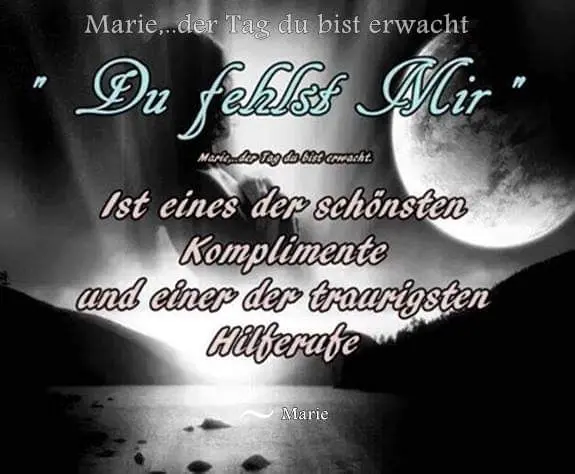 Andachtsbild von Frauchen an Bonnie 