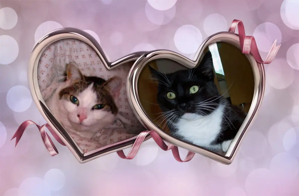 Andachtsbild von Unbekannt