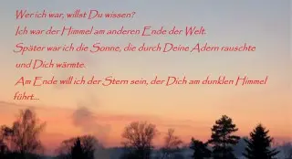 Andachtsbild von Frauchen an meine Bonnie