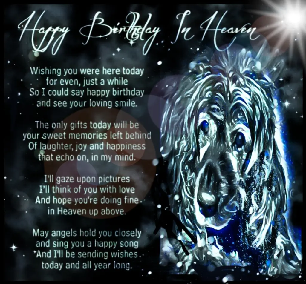 Andachtsbild von Frauchen für meine Ein und Alles Bonnie