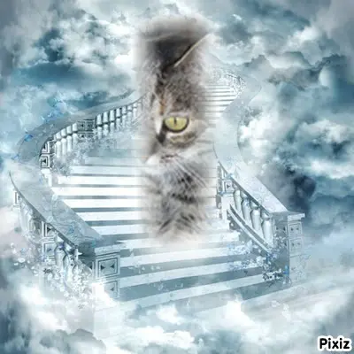 Andachtsbild von Ingrid und Tammy