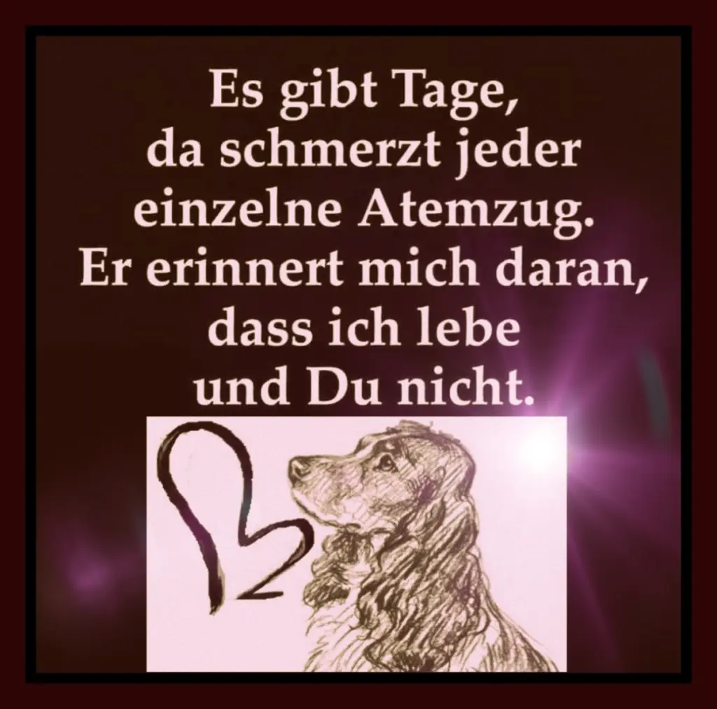 Andachtsbild von Frauchen an -`ღ´-Bonnie -`ღ´-