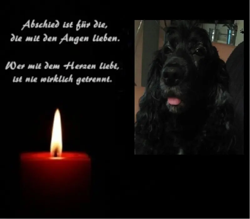 Andachtsbild von Unbekannt