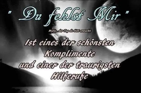 Andachtsbild von Frauchen an -`ღ´-Bonnie -`ღ´-