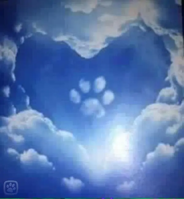 Andachtsbild von Ingrid und Tammy