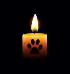 Andachtsbild von Jessica mit Amigo im Herzen❤️ In liebevollem Gedenken an Bonnie❤️