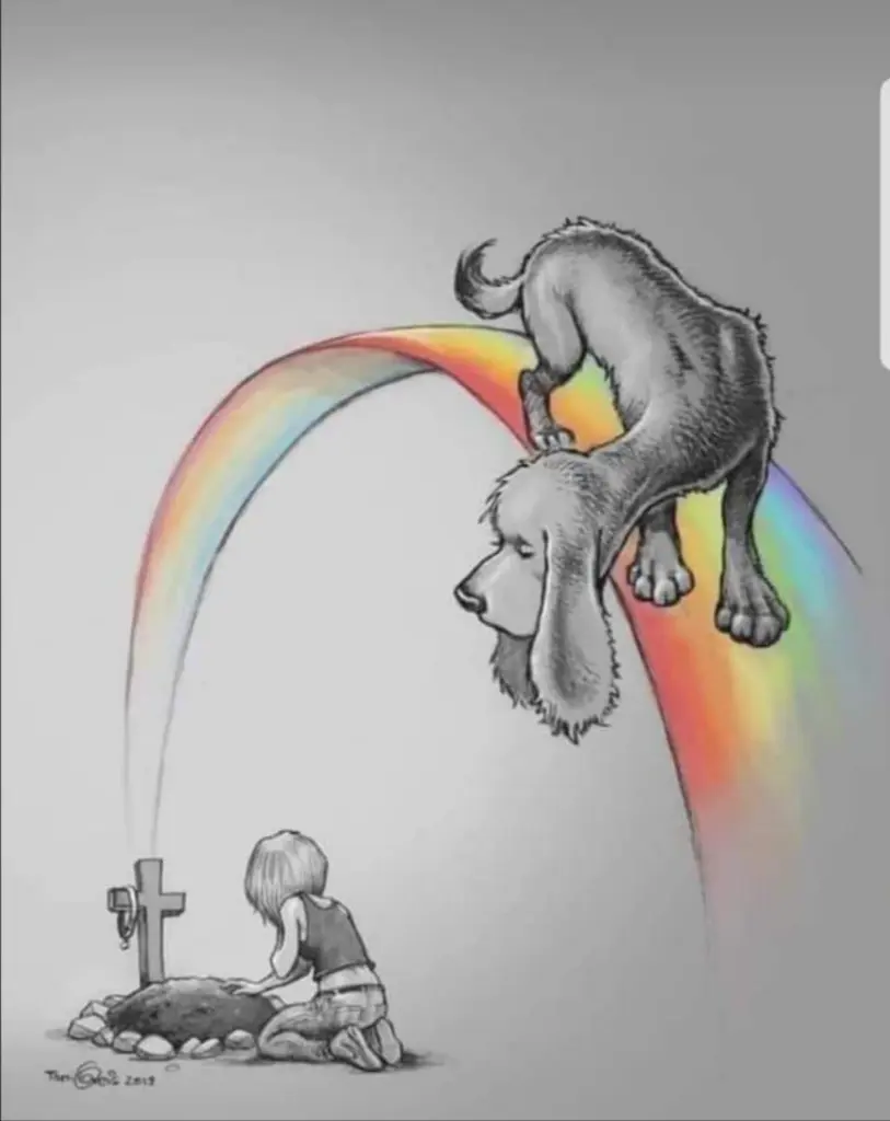 Andachtsbild von Frauchen an -`ღ´-Bonnie -`ღ´-