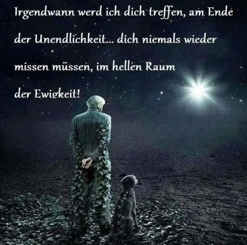 Andachtsbild von Frauchen an meine Bonnie