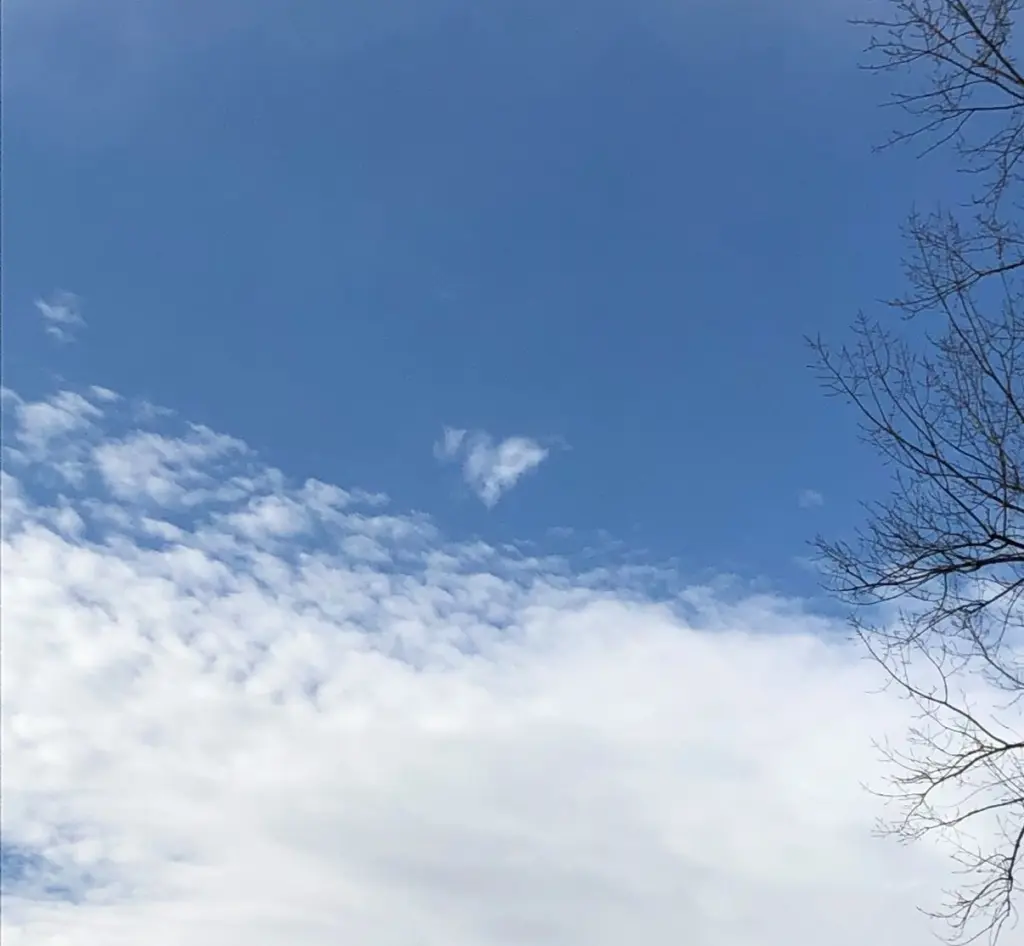 Andachtsbild von Deine Donna und Frauchen